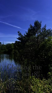Tree trouble? Not anymore. Clearing the way on 18 for a cleaner line off the tee. 🏌️‍♂️ | Hidden River Golf & Casting Club