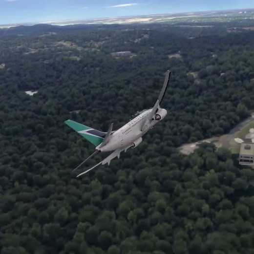 Testing Physics in Flight Simulator ✈️ #simulation #aviation