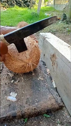 simple way | removing coconut meat from shell
