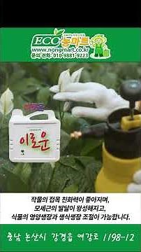 콩과 미생물을 발효시켜 만든 식물세포활성제 , 이로