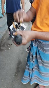 1.4M views · 10K reactions | Electric shocker bird | Zia Pay | Facebook