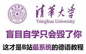 【德语教程】全246集，从0基础到德语C1，全程干货无废话，包教包会！