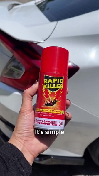 Effective Car Cockroach Spray for Quick Removal | Pest Control Solution