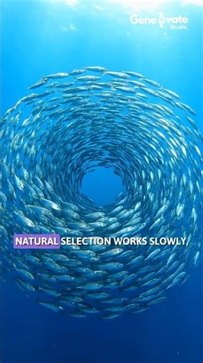 Natural SELECTION works slowly #deextinction