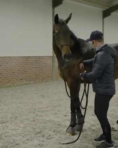 This horse bucked under saddle. I could barely pass my hand over the areas where the saddle, girth, and legs go without her twitching and moving away. If you can't touch those areas, should you be putting a saddle on? The answer is no. In order to solve those issues under saddle, you have to strip your horse of all the tack and help them feel comfortable in their own skin again. In result, you'll be able to help your horse better. | TRTmethod