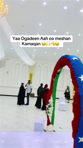 Hilarious Moments from California TV