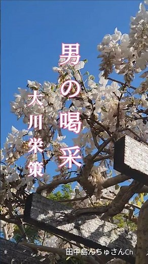 ♪︎男の喝采,,, 大川栄策 #昭和歌謡＃演歌