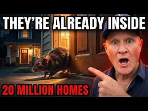 The Real Reason Rats Keep Coming Back — (Exterminators Won't tell you this)