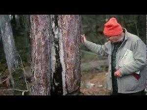 Minnesota: A History of the Land, Episode 5