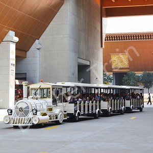 [Hot Item] Hot Sale Amusement Park Rides Sightseeing Train for Fun