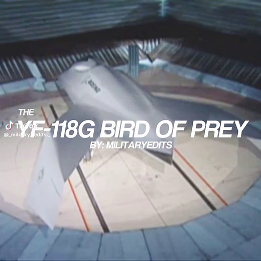 YF-118G Bird of Prey: A Stealth Aircraft Overview