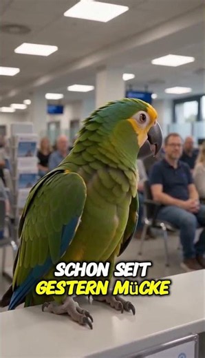 🤣 Papagei Übernimmt Das Bürgeramt Köln! Die Warteschlange Eskaliert 😂🦜