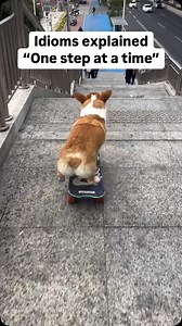 1.4K views · 24 reactions | One step at a time - This means to...