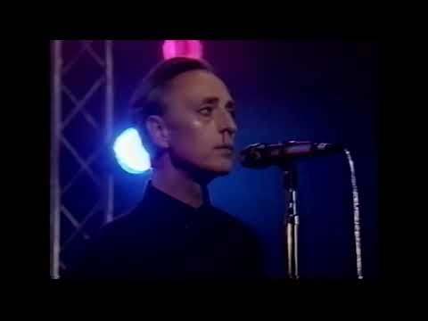 Get Well Soon/Zoltan D - Too much love (English subs)