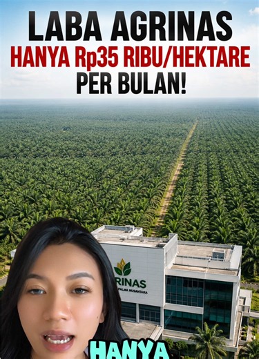 Laba Agrinas Rp890 Miliar Semester I 2026: Besar atau Kecil per Hektare?