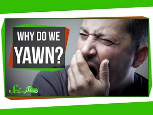 36K views · 270 shares | Why do we yawn? If you think the answer is BOR-ing, then maybe your brain's just overheated. Let Hank explain the new thinking behind why we ... hold on ... *yawn*. Excuse me. | SciShow | Facebook