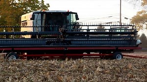 2.4K views · 69 reactions | Raccolta Soya con Claas Lexion 7500 TT #NewsAgricoltura | NewsAgricoltura | Facebook