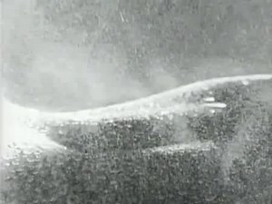 Bruce Springsteen / One Step Up