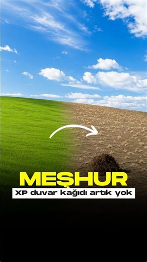 Windows XP wallpaper... #collaboration