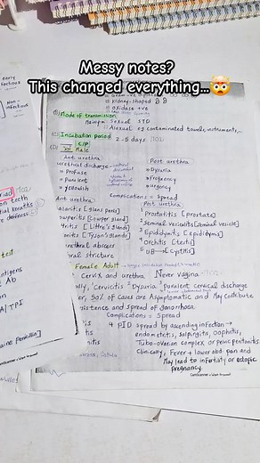 Transform Your Study Space with Digital Notebooks