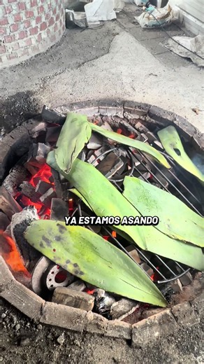 Barbacoa al estilo Hidalgo ahora en Nc | barbacoa food