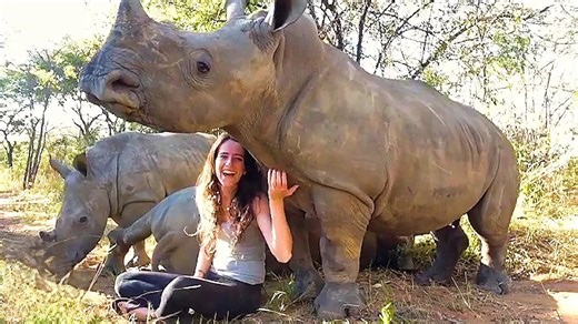 She never expected to become a mom to rhinos - but life had other plans