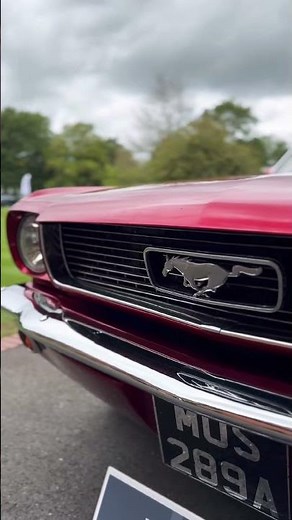 1966 Ford Mustang V8 4.6 SVT 'Notchback' | MotorVibe #cars #carculture #mustangmonday #mustang