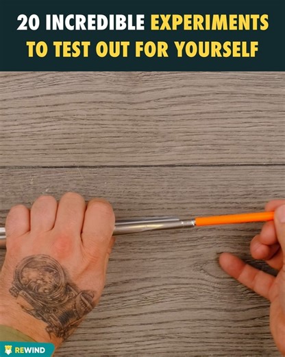 9.3K views · 17 reactions | 20 incredible experiments to test out for yourself! 勞 | Animals & More | Facebook