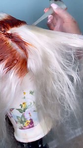 1.2M views · 21K reactions | Storytime ‍ #quickweave #viralreels#tutorial #hairtutorial #hair #naturalhair #wigs | Glamorous By Giovanni | Facebook