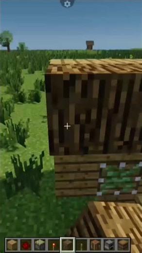 Block Swapper 💀 #minecraft #minecraftshorts #minecraftbuilds