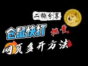 Hamster Kombat仓鼠快打游戏网页多开保姆级教程（无删减）