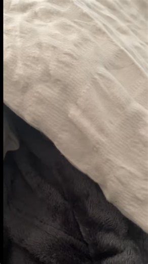 Potty training down the drain #miniaturedachshund | Dachshund Puppies