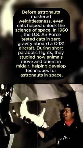 Cats in Zero Gravity, The Surprising U.S. Air Force Space Experiment