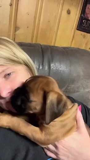 Ally😂😂🩷 #boxerlover #boxermom #boxerdad #boxerlover #boxerlovers #boxerdog #boxerpuppy #fawnsoftiktok #fawnboxer #fawnboxerpuppy