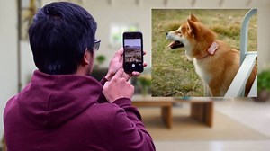 PetPhone, así funciona el primer celular diseñado para mascotas
