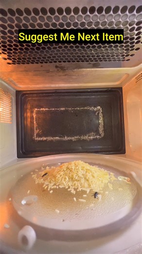 Mrwaves | Bugs in raw rice inside microwave #microwave #science #experiment #satisfying | Instagram