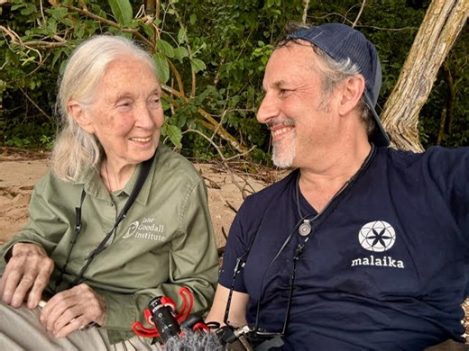 Documentary In The Works On Jane Goodall From Filmmaker Richard Ladkani, Director Of Oscar Contender ‘Yanuni’