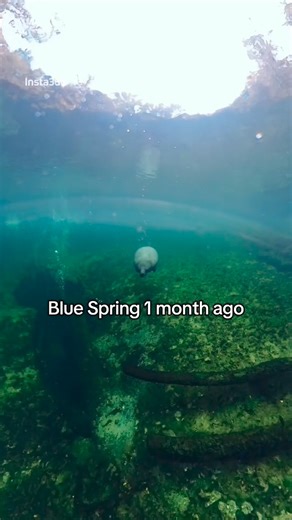 INTERACTIVE DESTINATIONS MAP 👉 https://hollybluff.com/river-destinations! Explore anchorage spots, state parks, and marinas along the St. Johns River in DeLand! #florida #bluespring #manatee #travelchecklist #winterretreat | Holly Bluff Resort Marina
