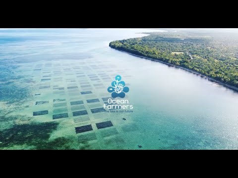 Valorising Seaweed Natural Capital for Communities Livelihoods (Ocean Farmers)