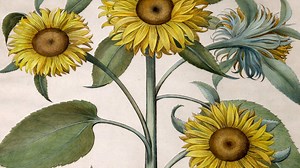 16 reactions | Historic items often hold new relevance as we move...