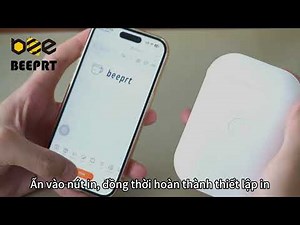 Hướng dẫn sử dụng Máy in D11/D11pro Mini Beeprt Aiyin Pikdik