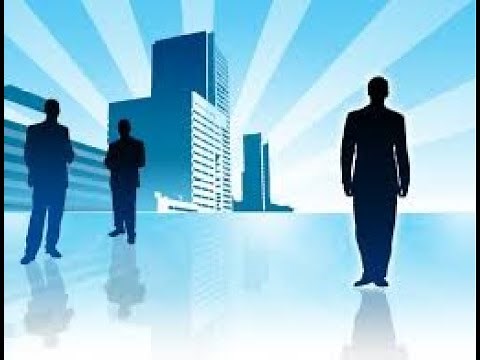 Criação, configuração de usuários e perfis no Software primavera ERP - V9