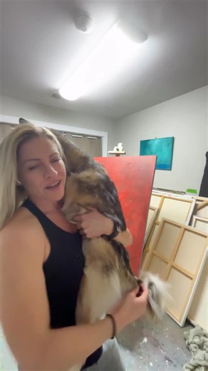 I feel like Luna’s 5 yr old response to having a baby/puppy brother was humanly accurate—-but we have an only child so …share your experience and boy puppy names #homerglen #totallyorganizedllc #pomsky #abstractart | Jill Dana Kellogg