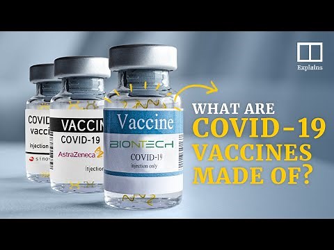 What’s in a Covid-19 vaccine?