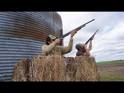 Pump Action .410 Grain Silo Pigeon Hunt!!