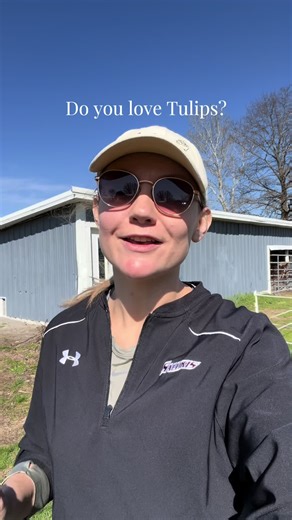 Discover the Joy of Tulips at Our Flower Farm