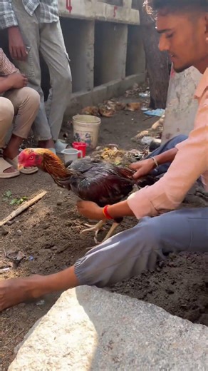 💥Dummar java 11 months patta 🫀