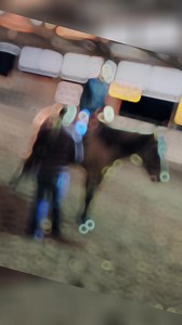 Every Friday night at 3R Ranch. These girls put in hard work to accomplish their dreams! Come out and join us and stay tuned for what’s coming next year! | 3R Ranch