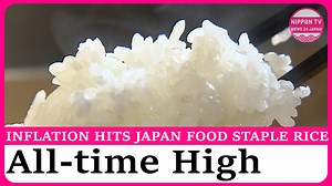 1K views · 25 reactions | The Ministry of Agriculture, Forestry and Fisheries announces that the trading price of new rice in Japan had reached a record high in January; continuing a consecutive 5-month streak of high relative transaction prices. Originally on air on February 19, 2025. Watch more on https://www.youtube.com/c/NipponTVNews24Japan | Nippon TV News24 Japan | Facebook