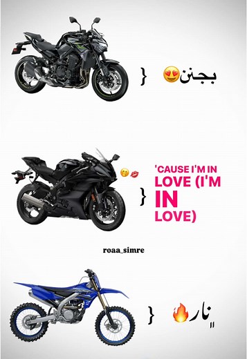 Motorcycle and Car Showcase: Featuring Rose Silver Models